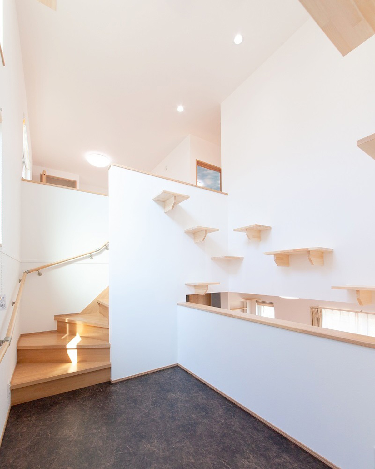 吹き抜けにキャットウォーク設置の猫も楽しい明るいお家