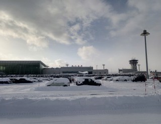 早くコイコイ春の訪れ