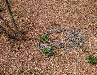 この陽気で明るくなる・・・・