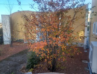 楽しい一日で終わるようにしよう!!