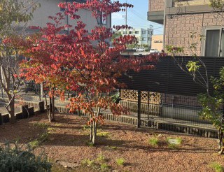 今週も元気と笑顔で頑張っていこう!!