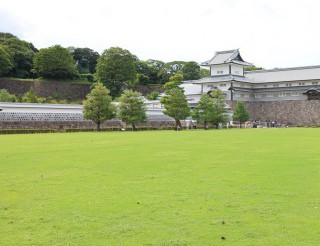 大したことがないように・・・