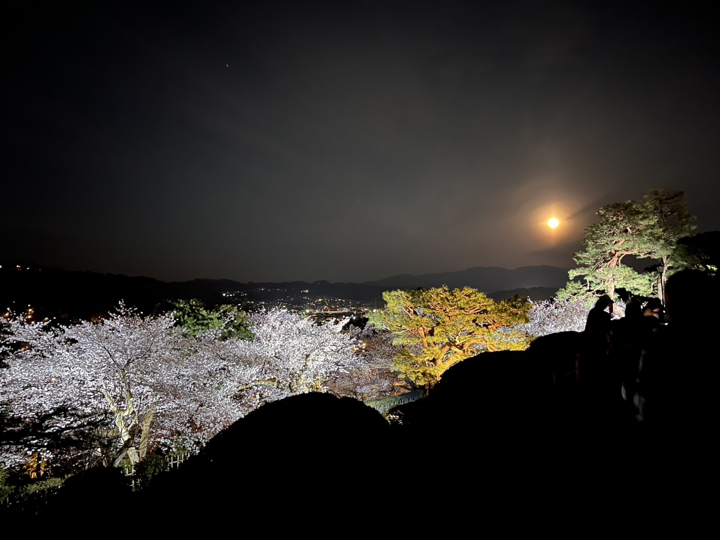 自分たちに合う家はどんな家だろう。