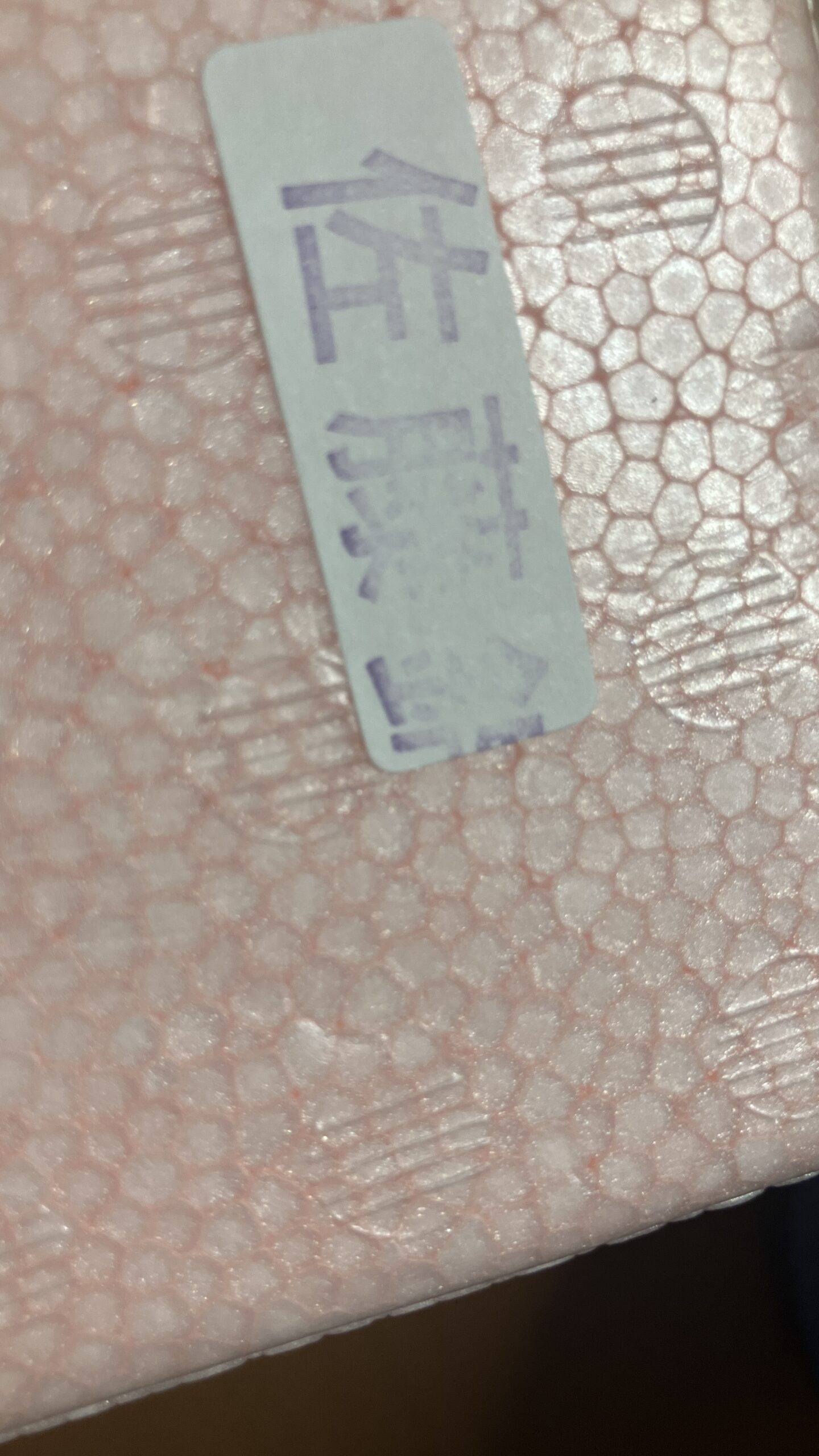 今年も待ってました